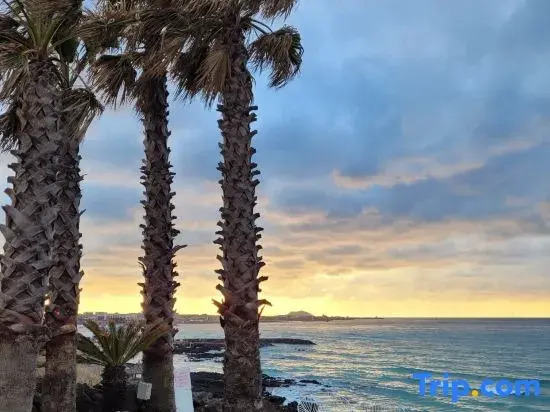 Aewol The Sunset Resort