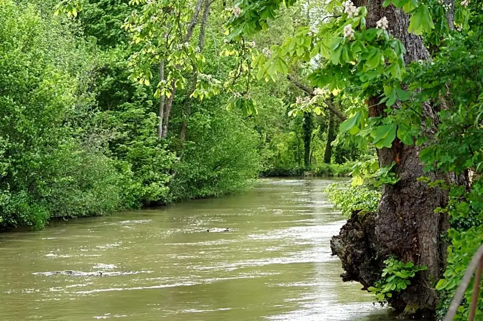 Le Moulin declaron