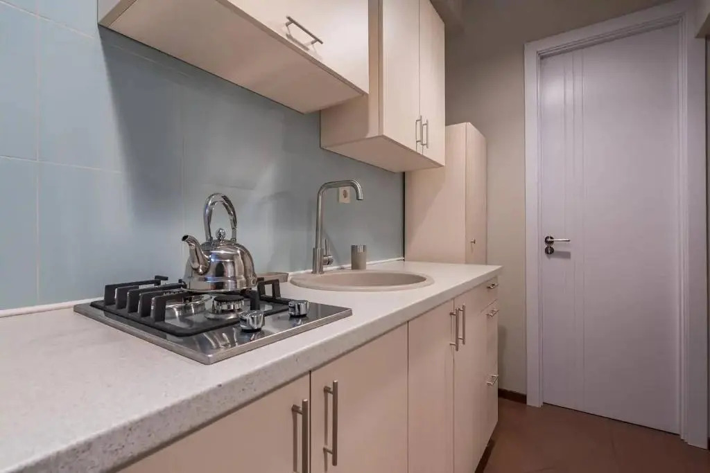 ?Cozy and Stylish 1BR apt. Near Rustaveli Avenue?