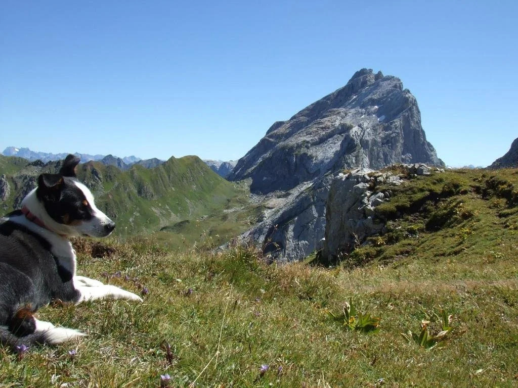 Sonnenhaus Sander