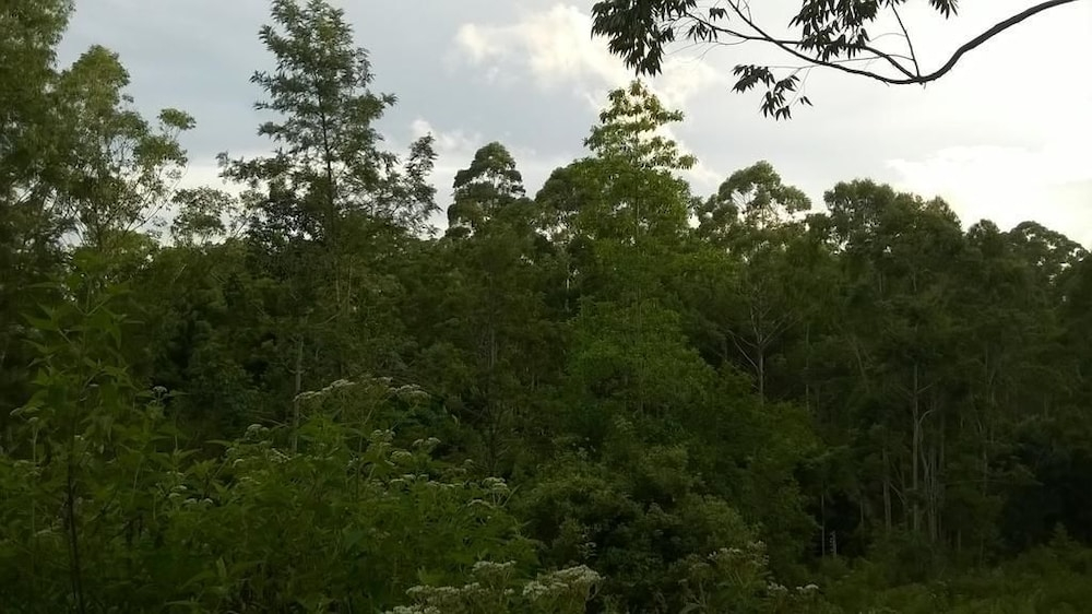 Yathra Mount Inn