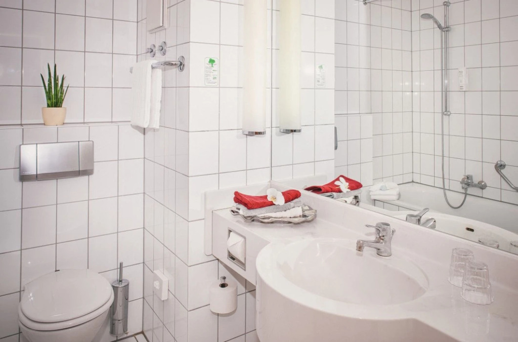 Tulip Inn Hotel ( Ehemals Mercure Limburg)