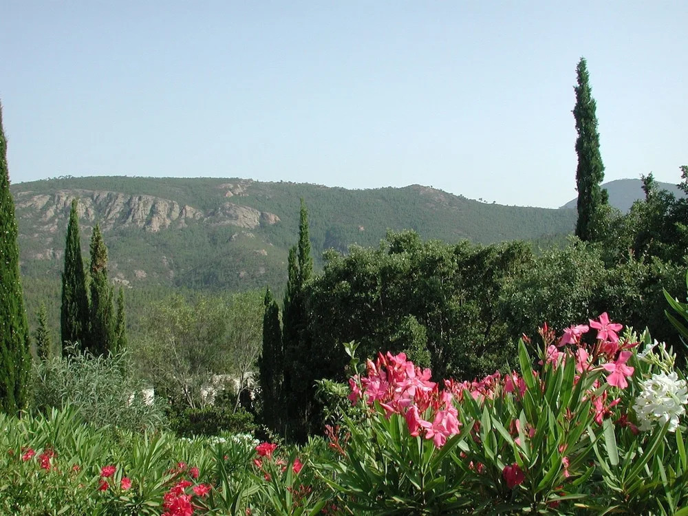 Lush Villa in Oletta With Private Swimming Pool
