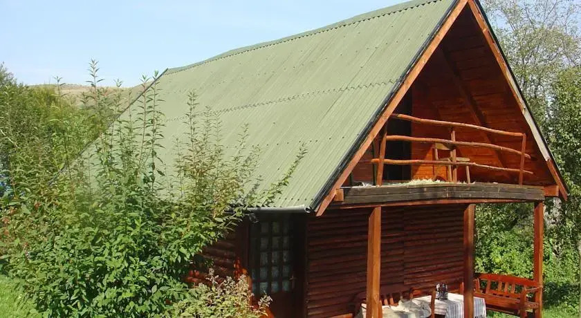 Holiday Homes Oko