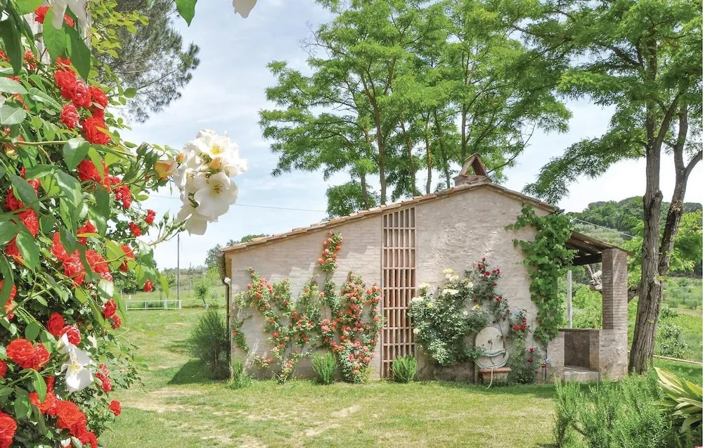 Sanlucchese 2