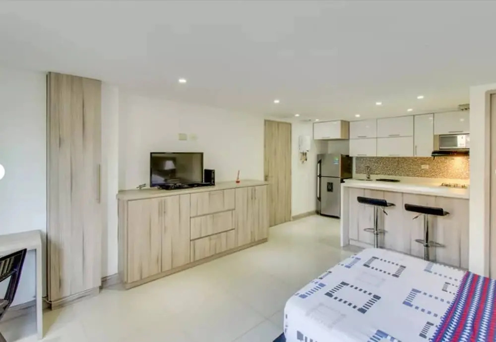 Armonioso Apartamento Estudio La Frontera 3