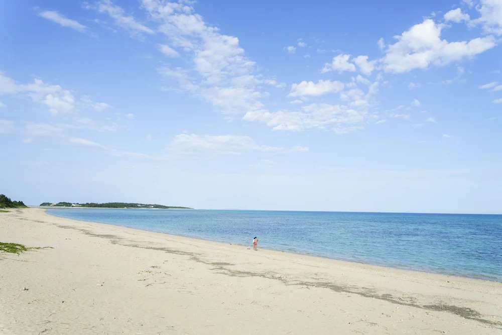 Bears Stay Kumejima Eef Beach