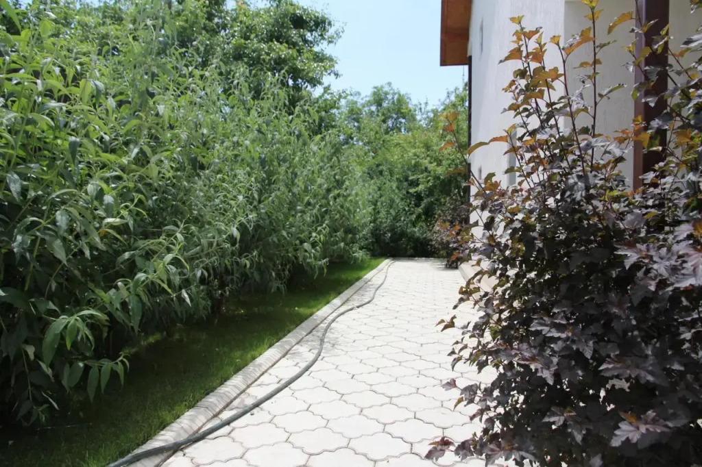 Guest House LETO
