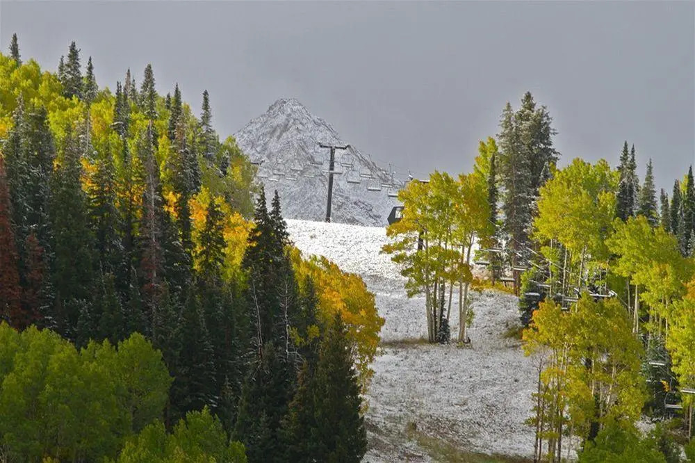 Paradise Condos - Crested Butte Mountain Rentals