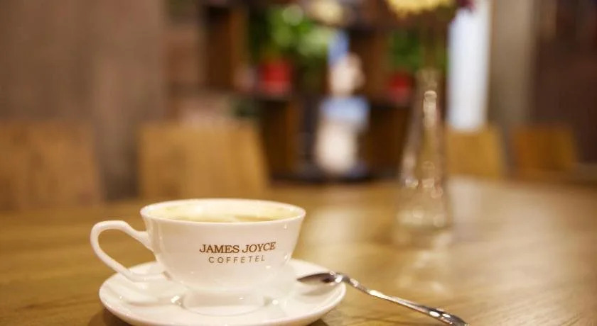 James Joyce Coffetel YanAn Baota