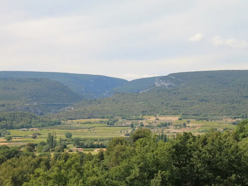 Chateau Perreal