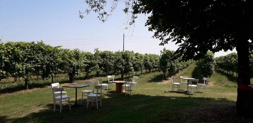 Agriturismo Vitae