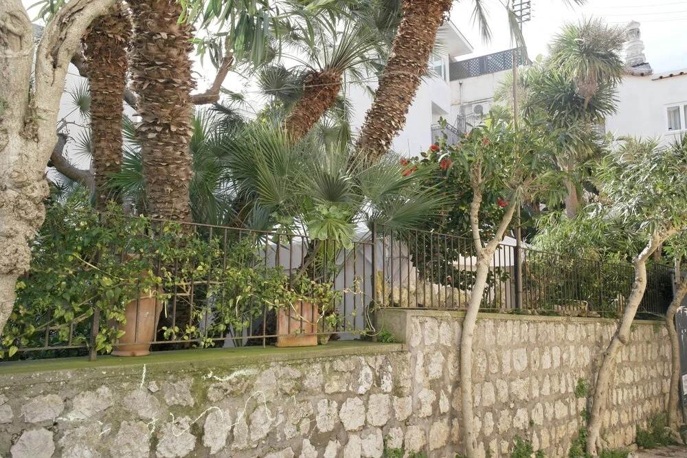 Bellamania B&B