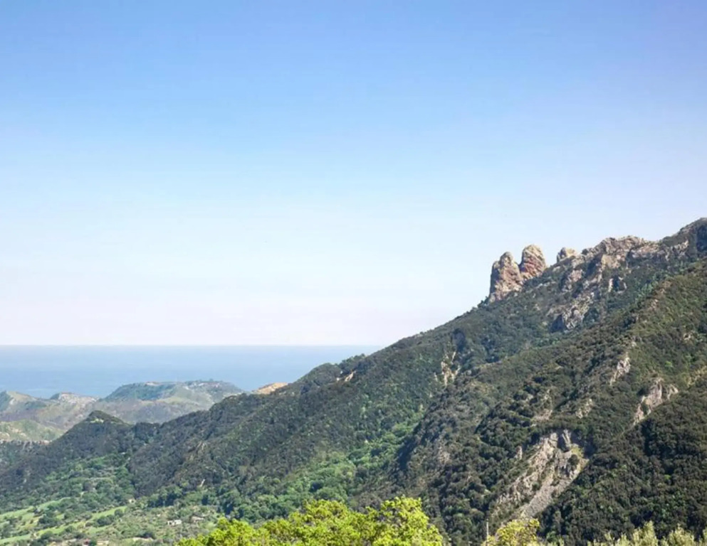 Magia dellAspromonte
