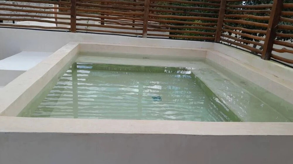 Selva Norte