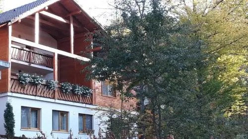 Casa de vacanta Pintea