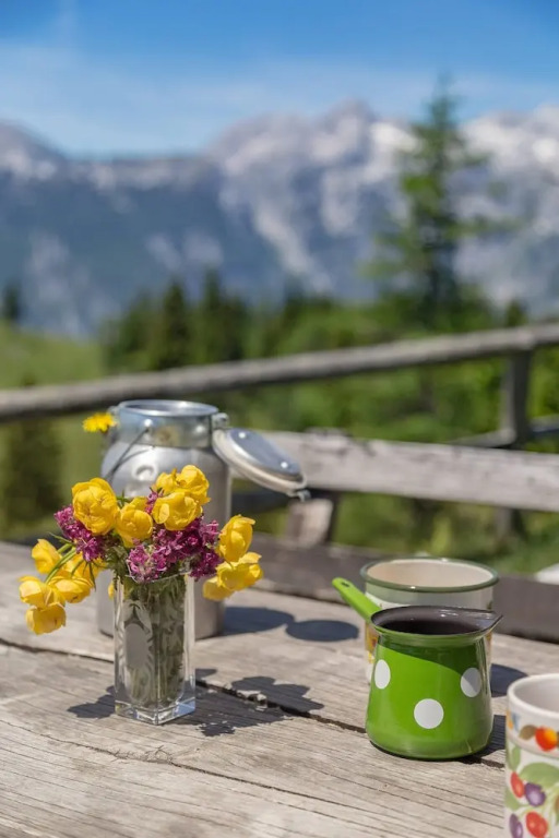 Chalet Zlatica Velika Planina
