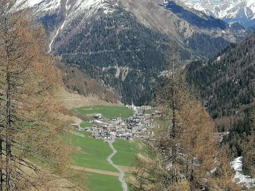 Haus Viola