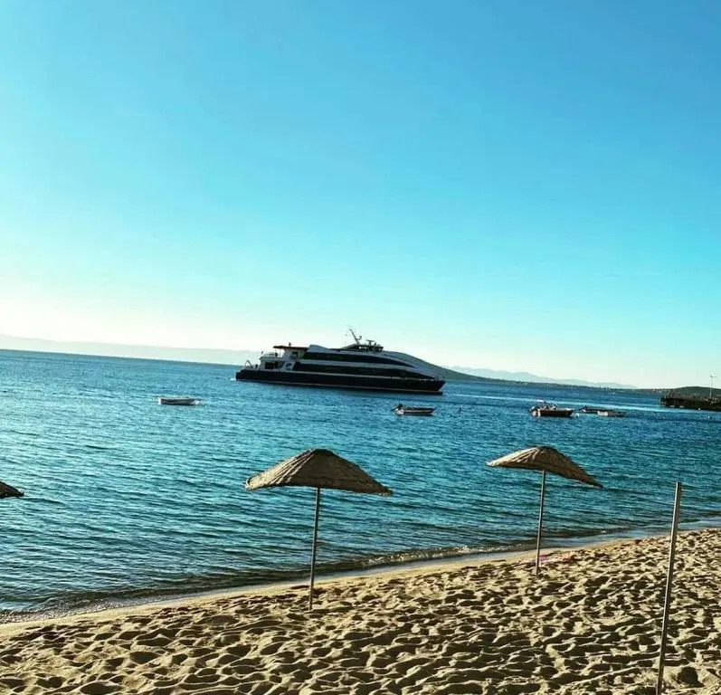 Convenient Studio Flat Near Beach in Avsa Island