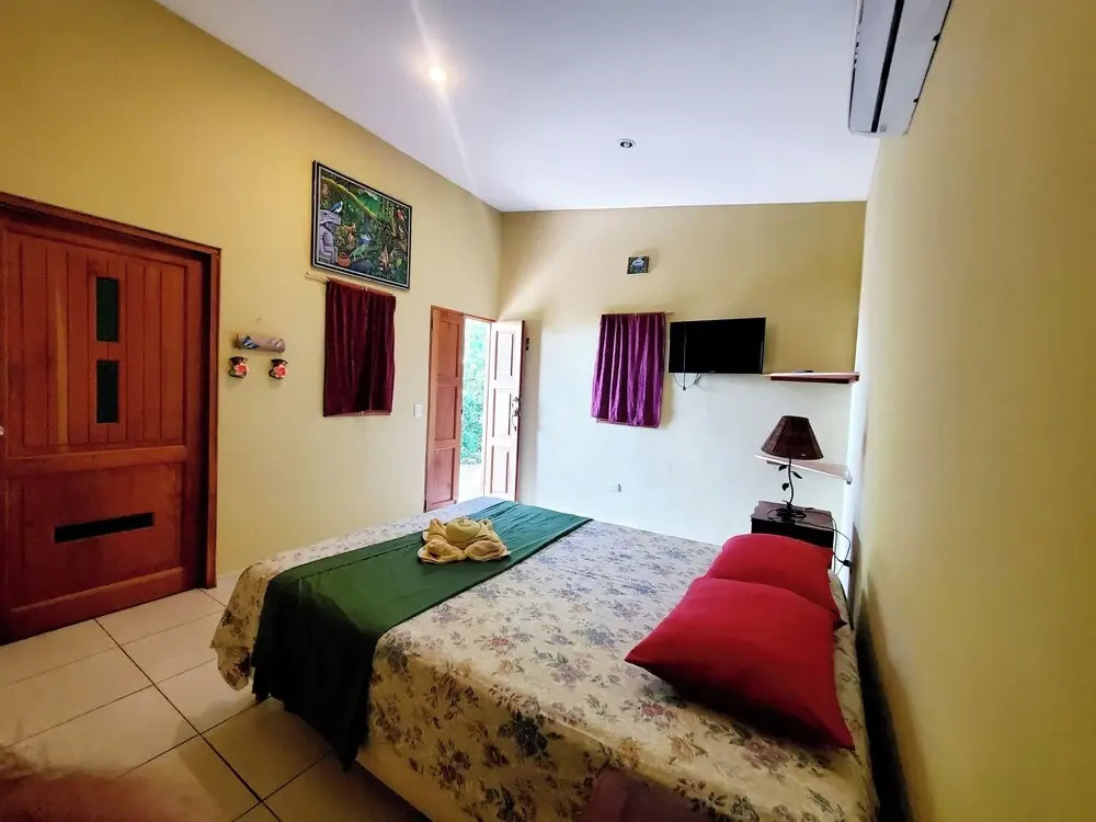 The Jungle Lodge