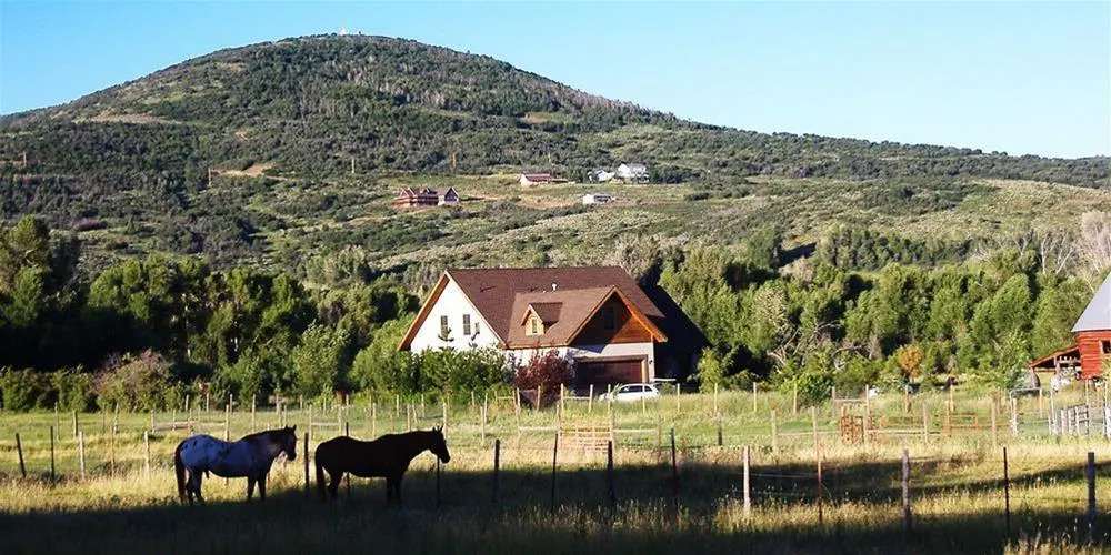Woodland Farmhouse Inn Bed and Breakfast