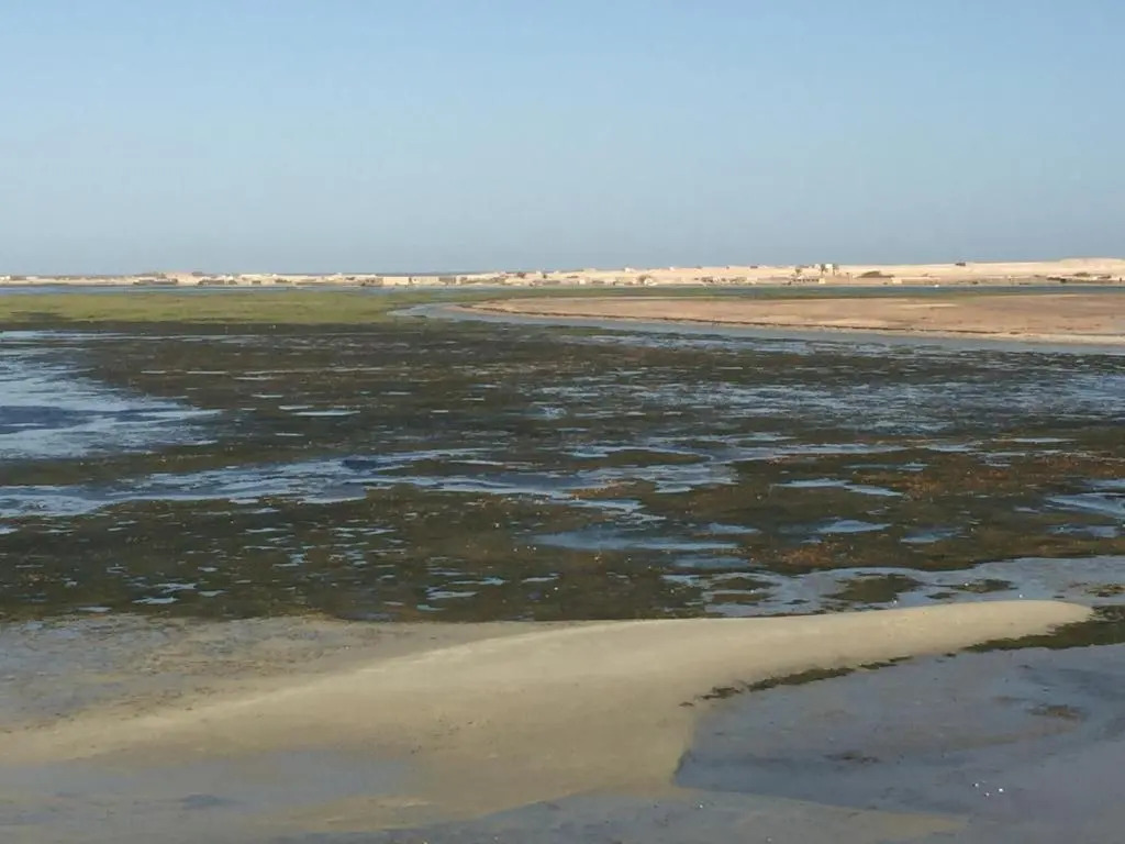 Hotel Sahel