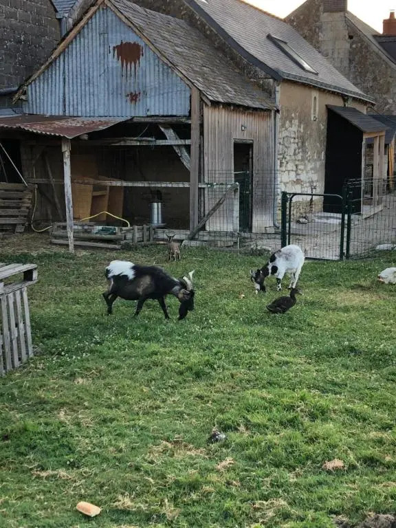 La Petite Ferme