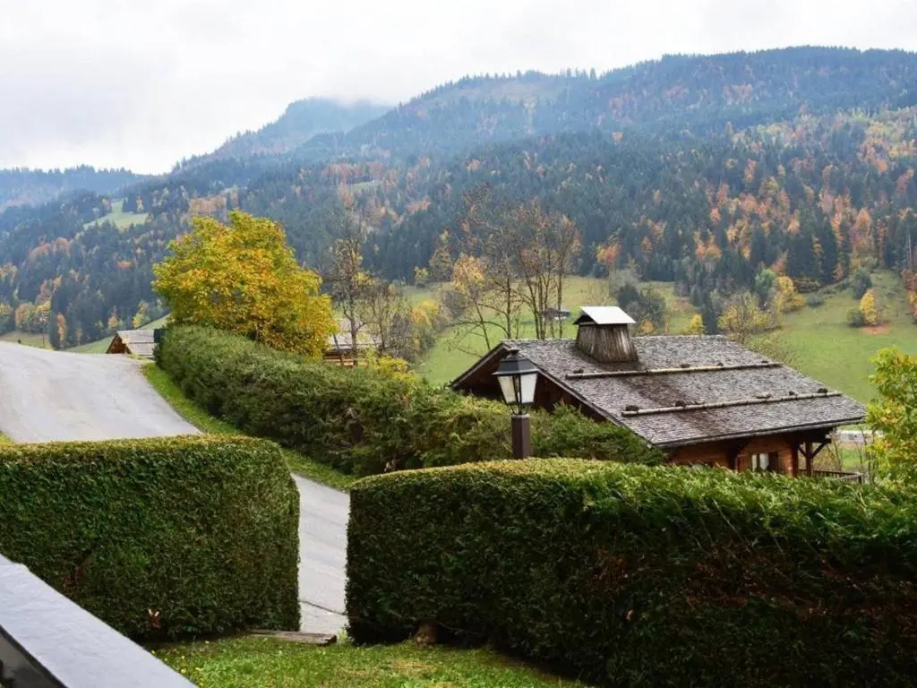 Appartement Le Grand-Bornand, 1 pièce, 4 personnes - FR-1-241-80