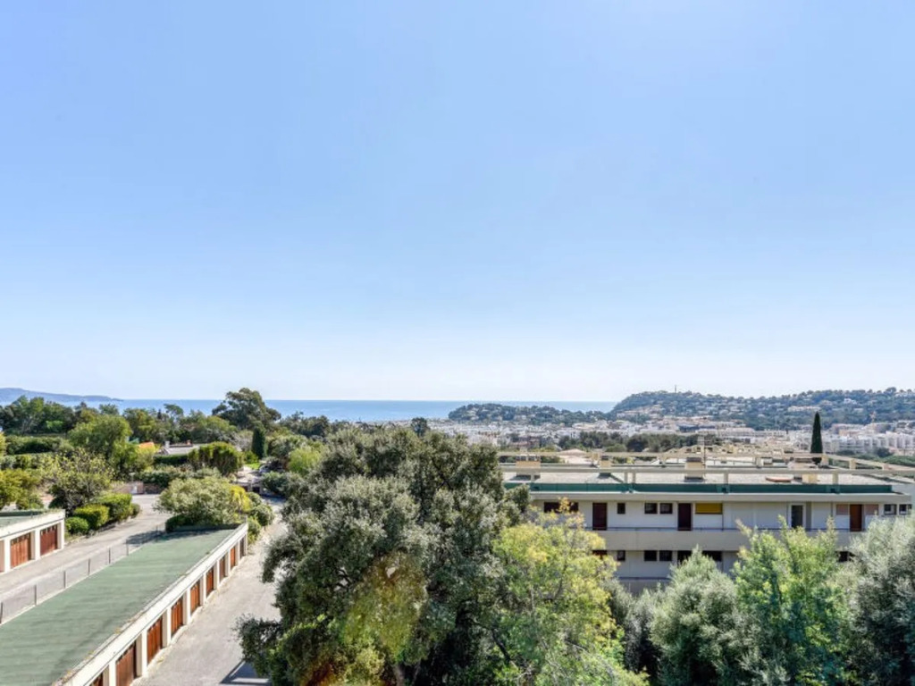 Les Mimosas 18528