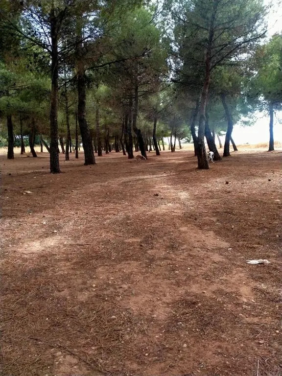 El Refugio