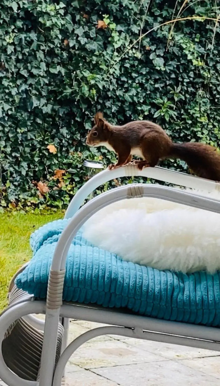 De Tuinkamer-----Privé diner op de kamer mogelijk