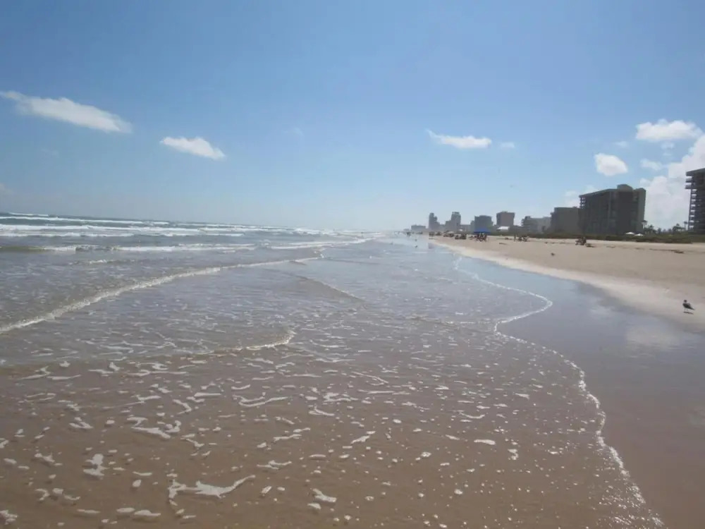 Florence I 706 by Padre Island Rentals