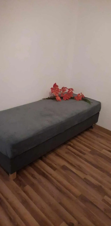 Sleepy3city Apartments 10 Lutego 23