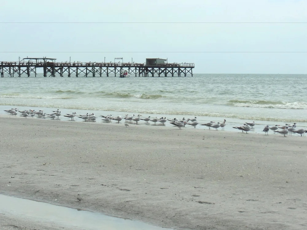 Redington Beach Vacations by TechTravel