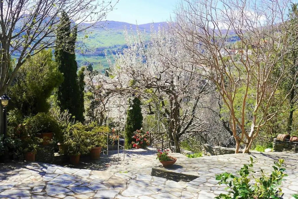 Wonderful 4 Bedroom Villa & separate guest house Villa Thalia