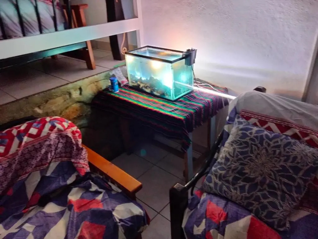 Casa 3 tias