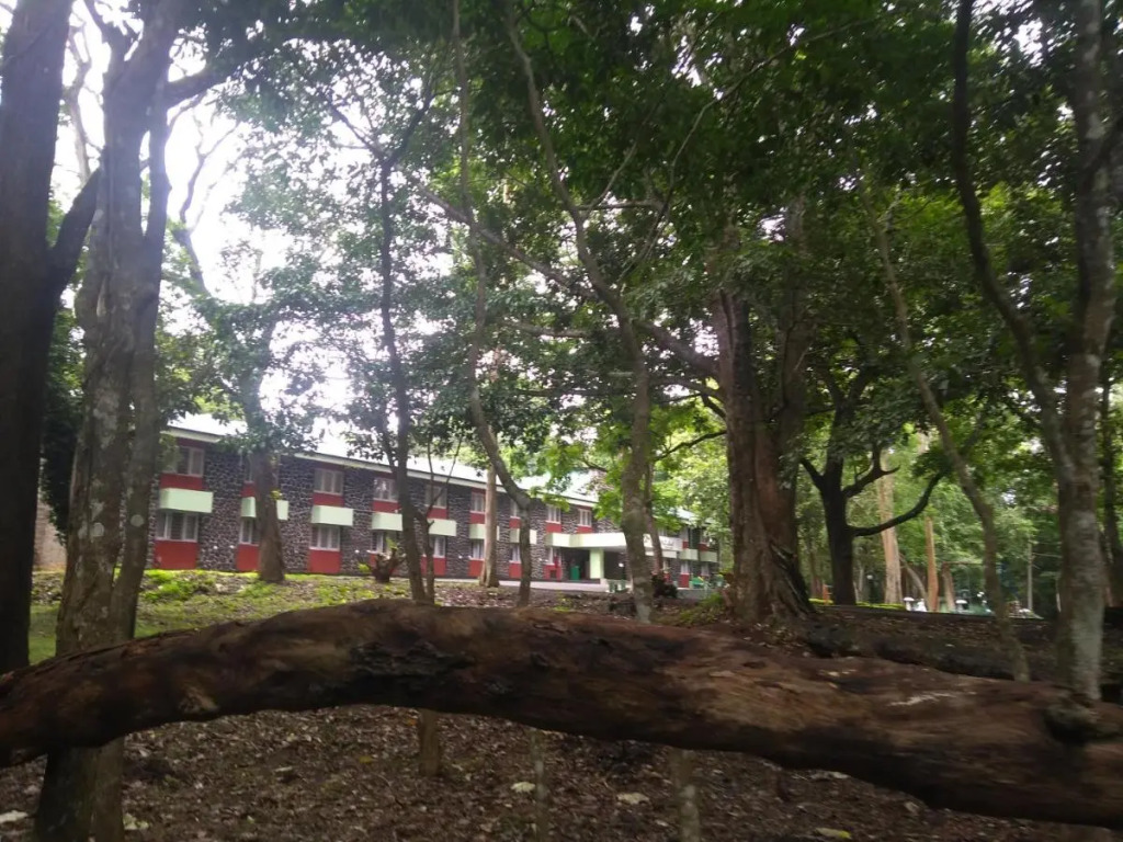 KTDC Periyar House Thekkady