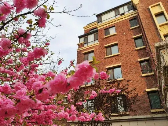 Mariolio Homestay (Dalian Golden Pebble Beach)