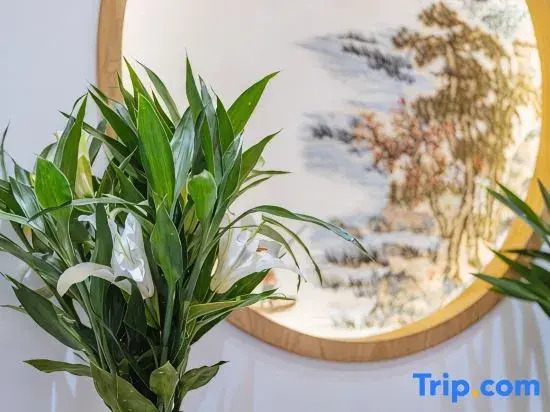 Jiuhuashan Hanshanju Homestay