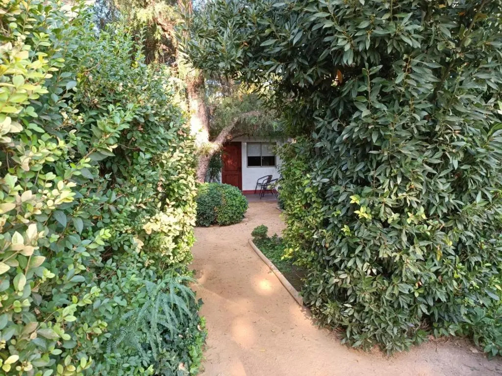Casa Calfu