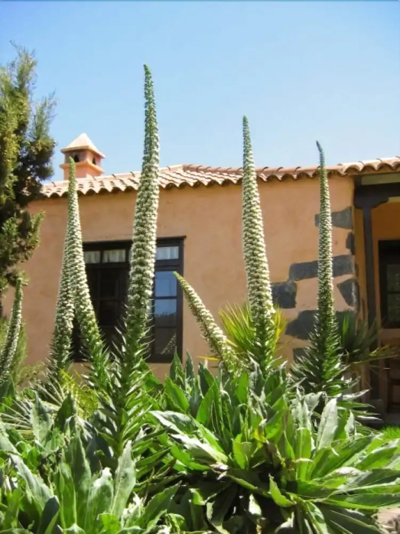 Rural Las Llanadas