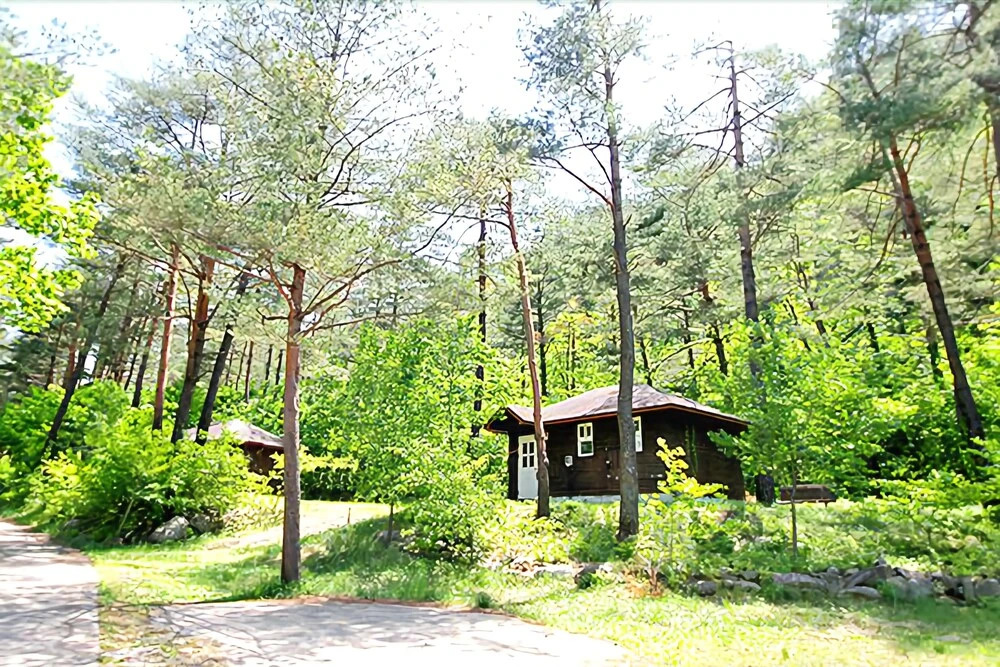 Yangyang Forest Home Pension