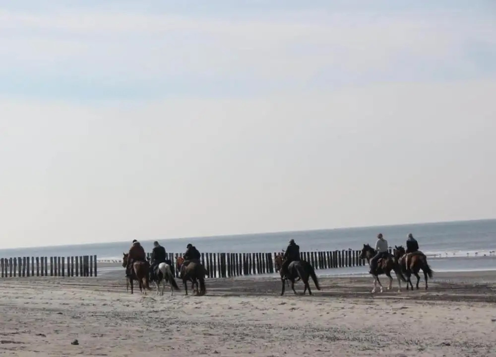 Studio in Domburg Near Beach and Golf