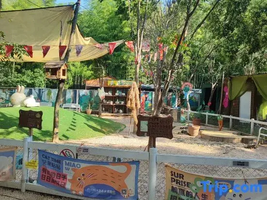 Joyful Transmission Hotel