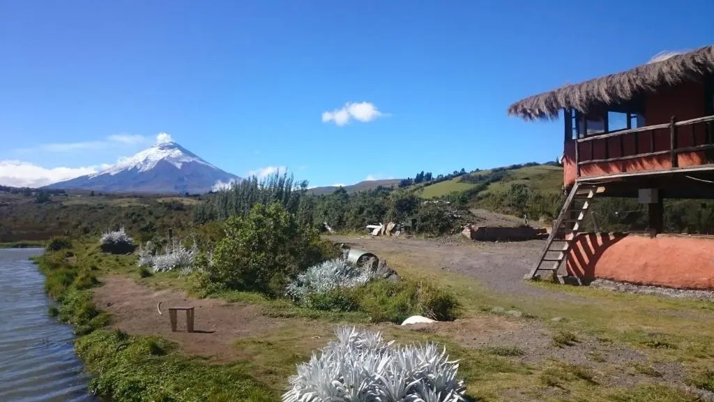 Mauca Pedregal