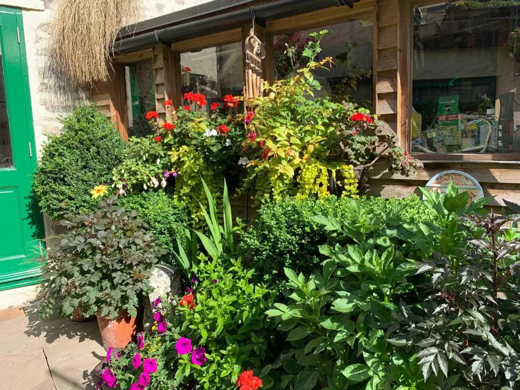 Courtyard Apartment