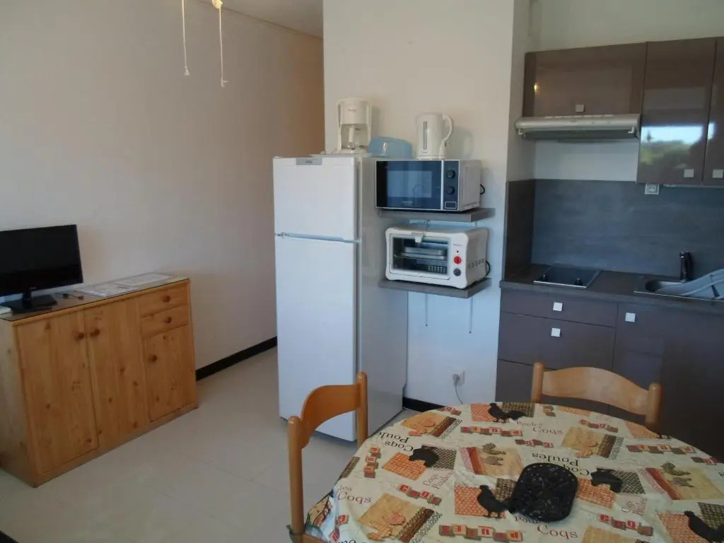 Appartement Balaruc-les-Bains, 1 pièce, 4 personnes - FR-1-503-73
