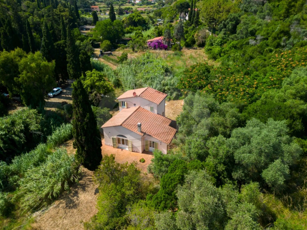 Elegant Villa Ivana 7/8 bed immersed in a green garden 600 meters from Reale beach-VILLA IVANA