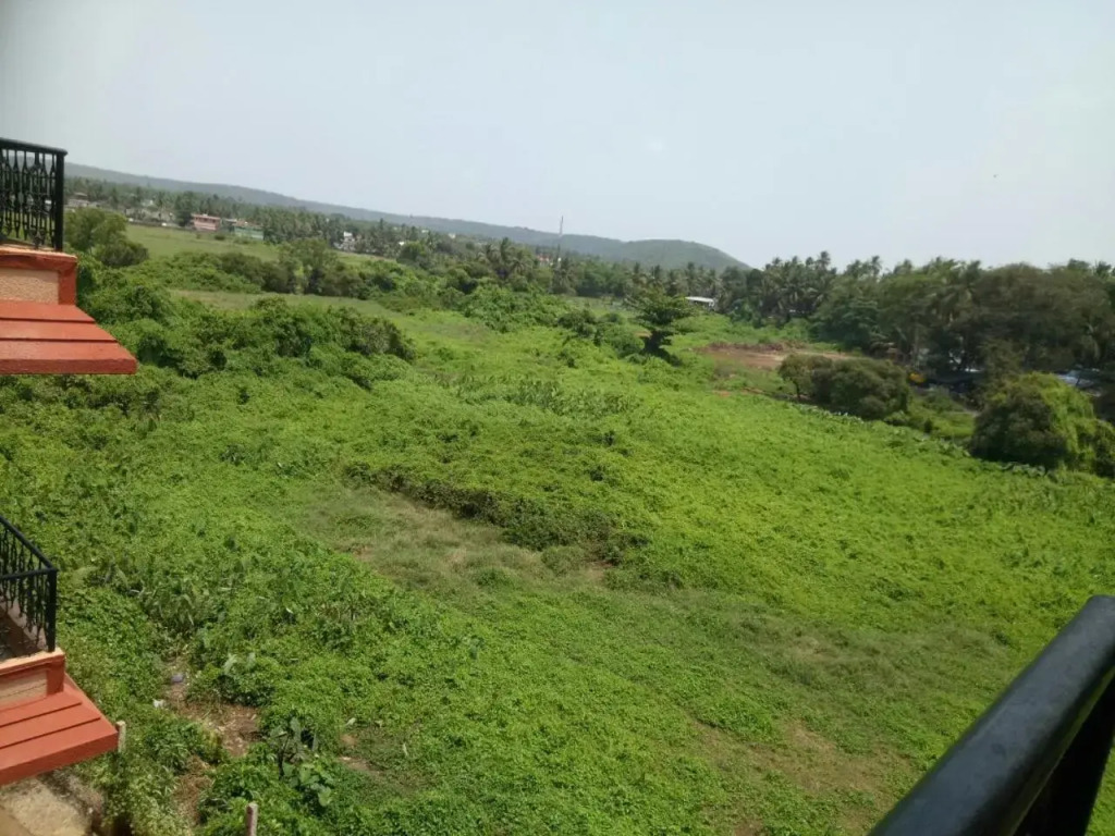 Kyle Gardens