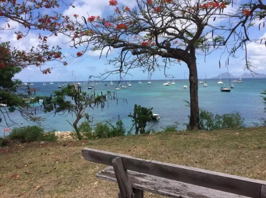 Holidays in Martinique - Ravenala